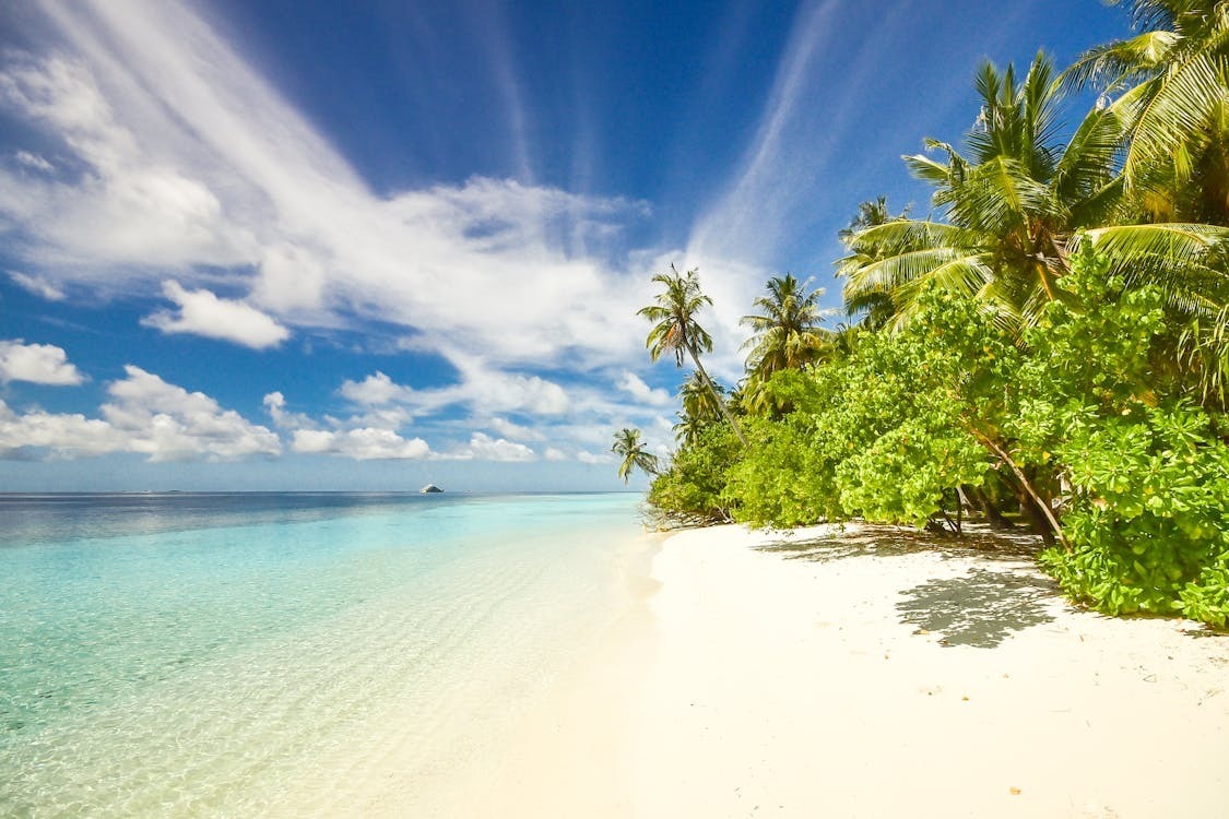 Financial Freedom Assessment